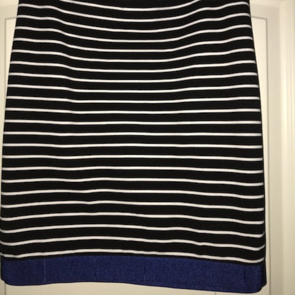 Striped Pencil Skirt with Blue Hem